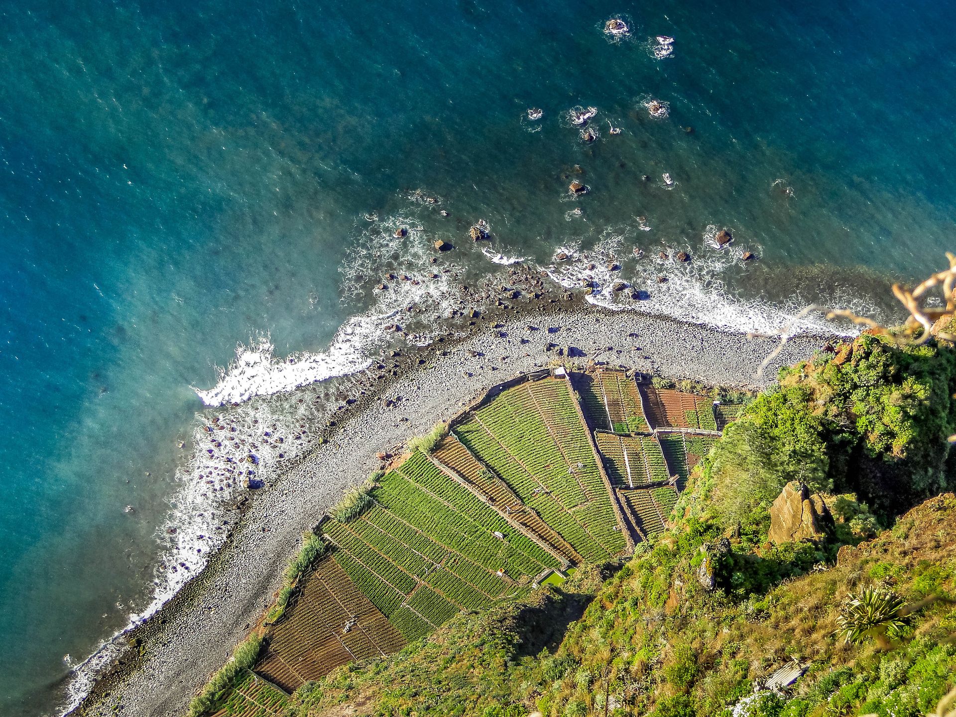 Vue aérienne de la Faja dos Padres à Madère, terrasses cultivées au pied des falaises face à l'Atlantique.