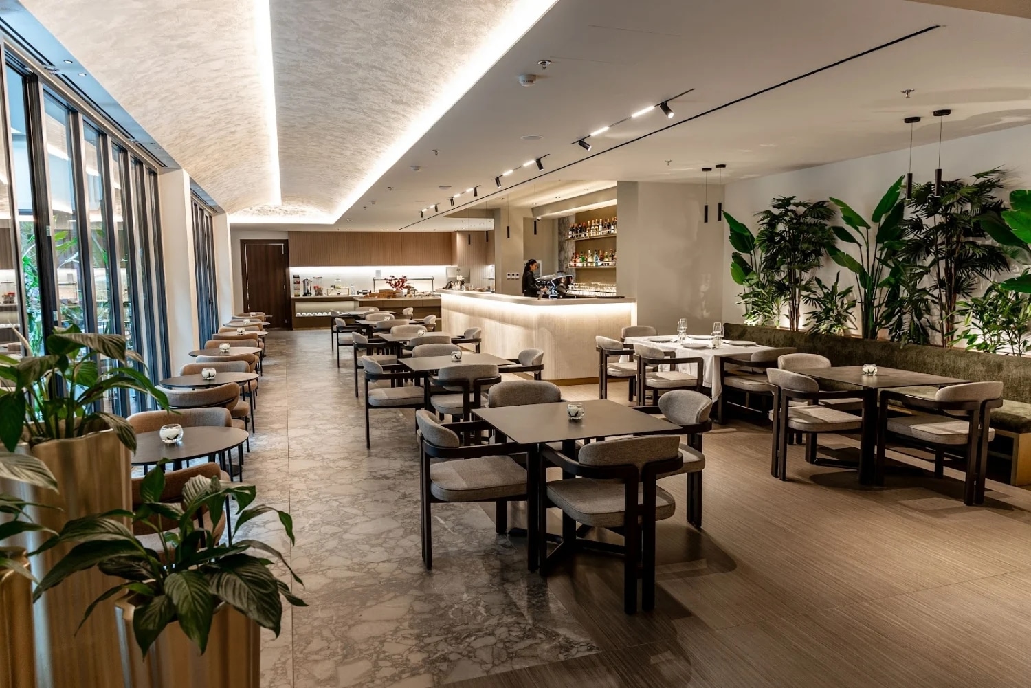 Restaurant d’hôtel contemporain en Albanie avec tables, bar et décoration végétale.