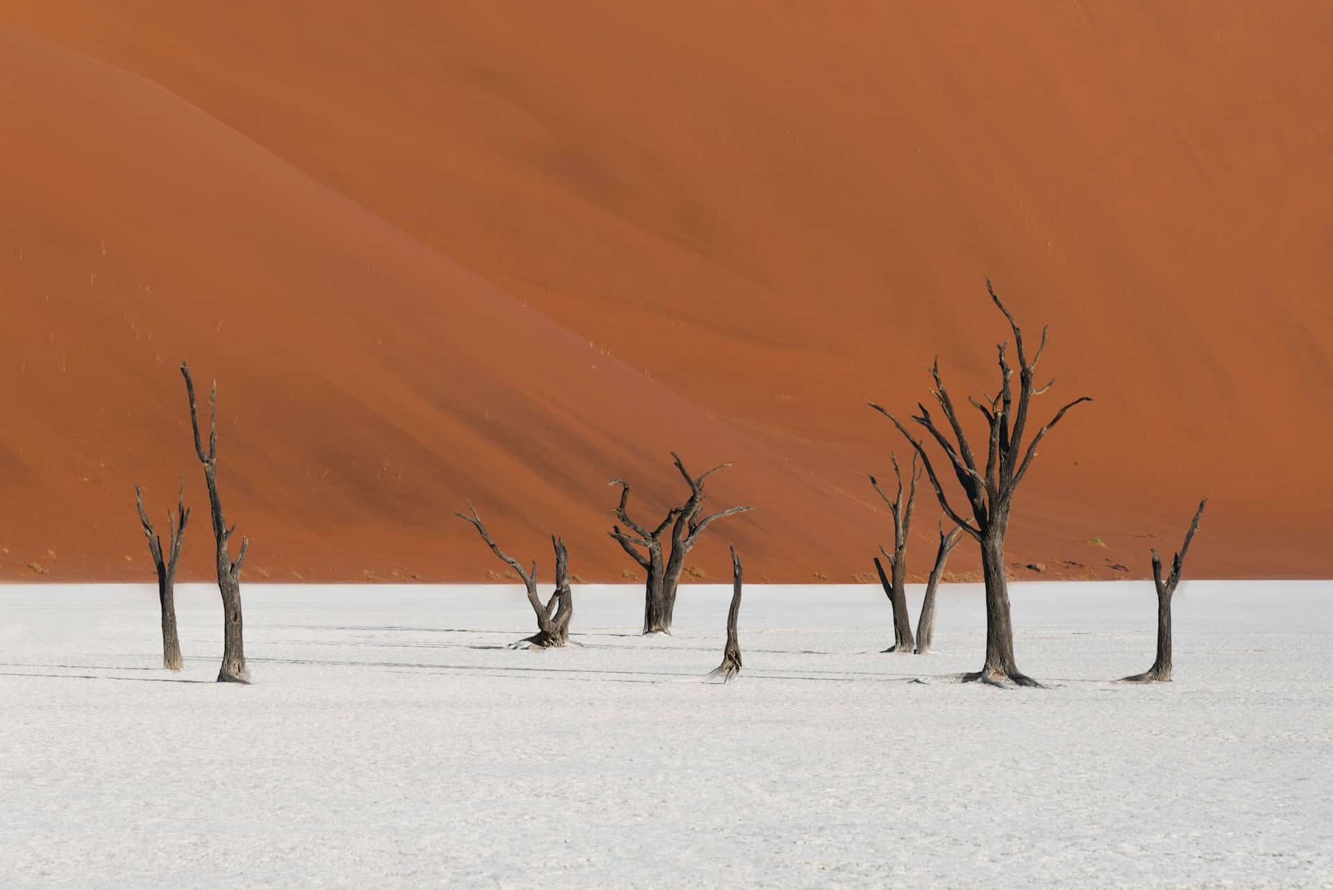 Les célèbres dunes de sable rouge de Sossusvlei dans le désert du Namib en Namibie au lever du soleil.